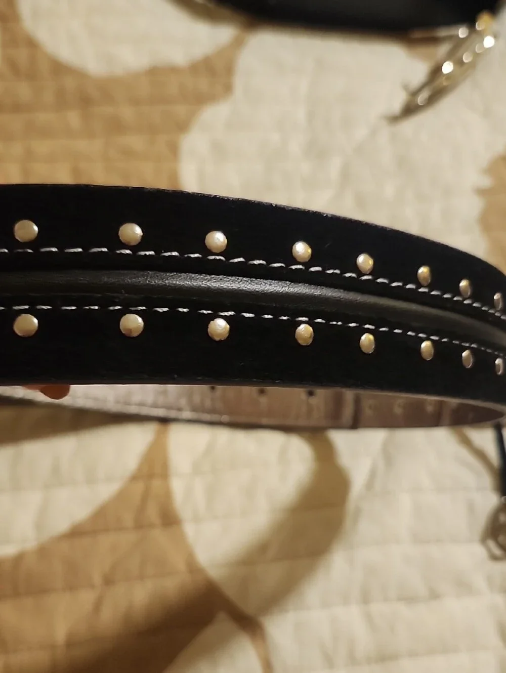 Womens Black Studded Leather Belt with Silver Buckle